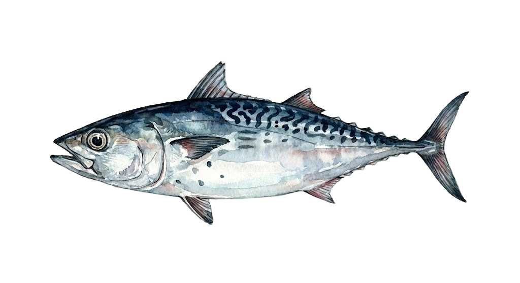 Tongkol